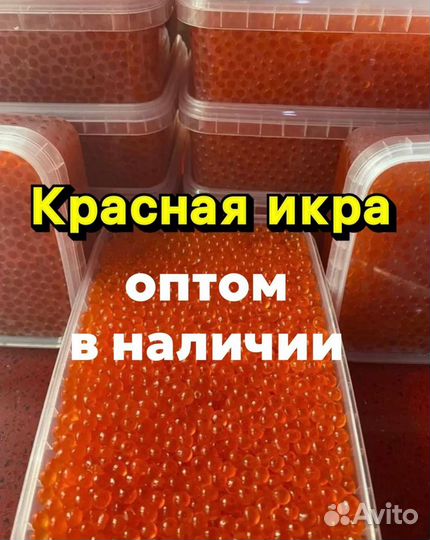 Красная икра оптом