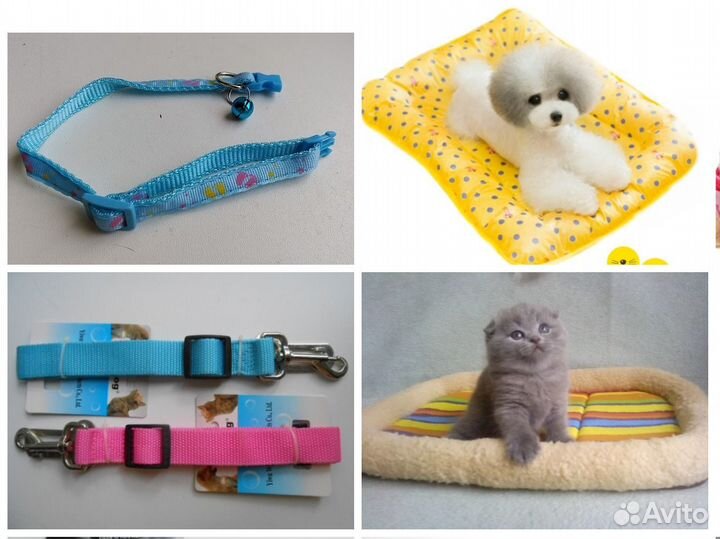 Нашим питомцам