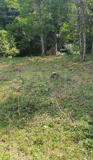 Участок 7,3 сот. (СНТ, ДНП)