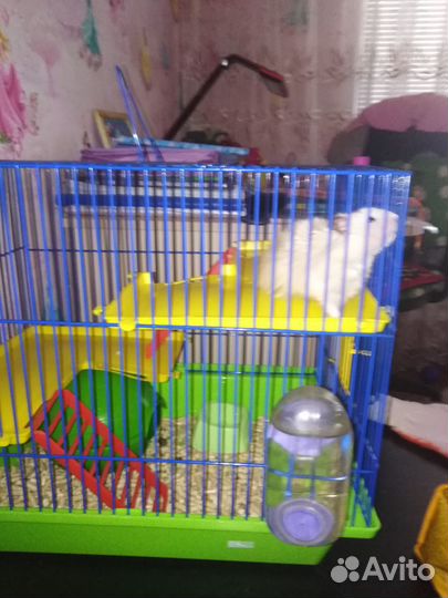 Клетка для хомяка бу
