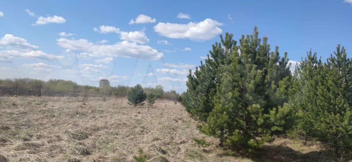 Участок 19,5 сот. (СНТ, ДНП)