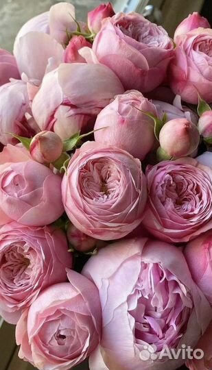 Для доставки