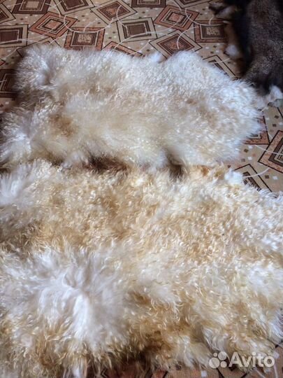 Шкура козы ламы