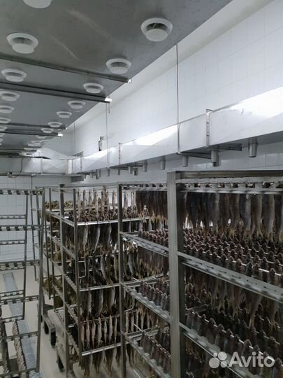 Камеры сушки и вяления рыбы (вялка) В наличии