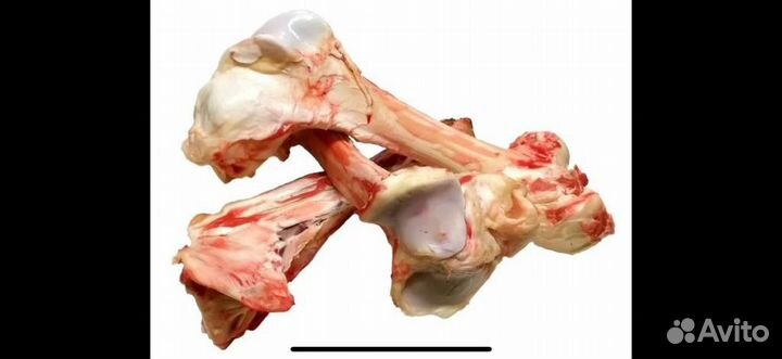 Кости для собак