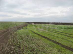 Участок 2 га (ИЖС)