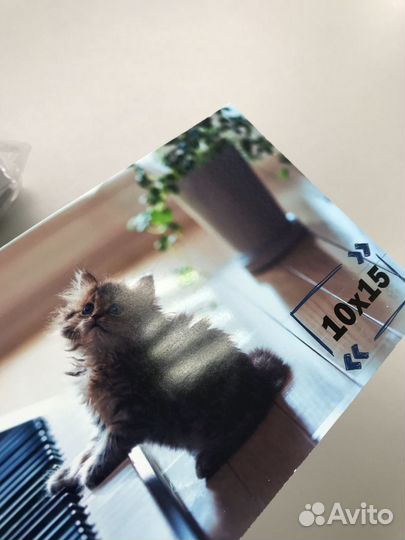 Фотобумага глянцевая плотная 10х15см А6 230гр