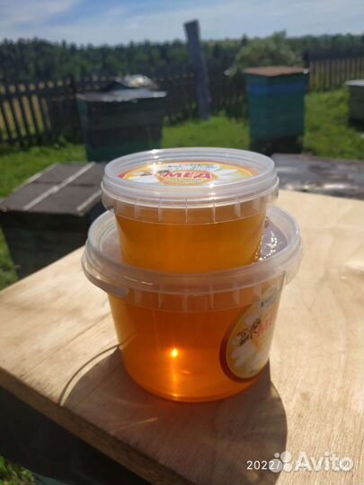 Мёд Липовый 2023