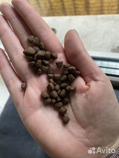 Корм для котят Farmina курица-гранат