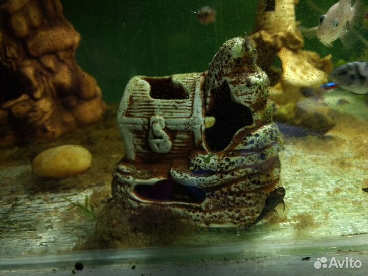 Украшение для аквариума
