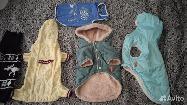 Одежда для собак мелких пород пакетом