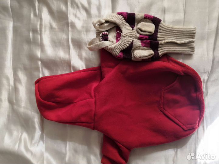 Одежда для кошачков