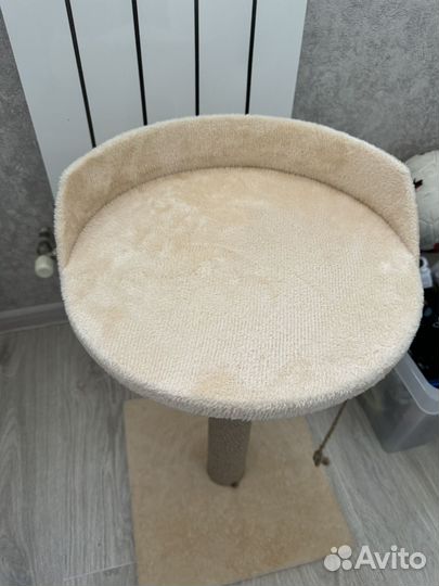 Когтеточка для кошки