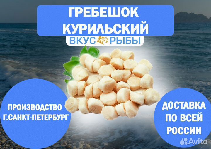 Курильский Гребешок