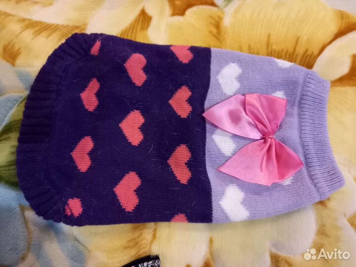 Одежда для собак мелких пород