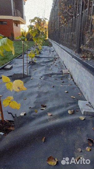 Укладка газона стандарт