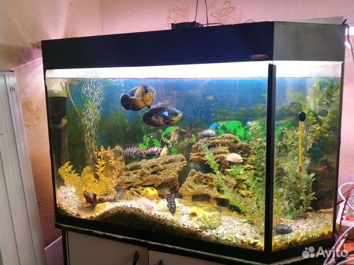 Готовый комплект