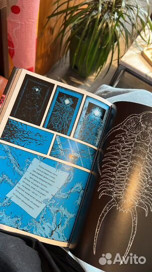 Хронозис негарестани