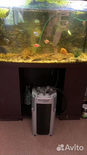 Аквариум с тумбой бу 220 литров