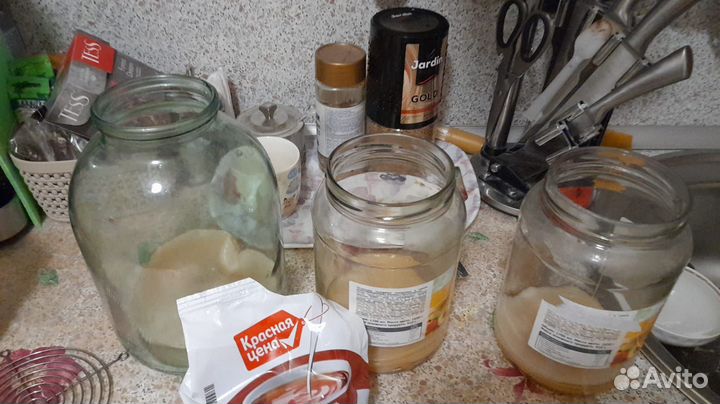 Чайный гриб комбуча для похудения