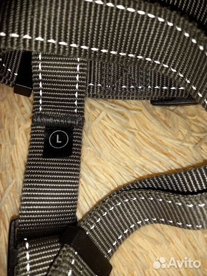 Принадлежности для собаки