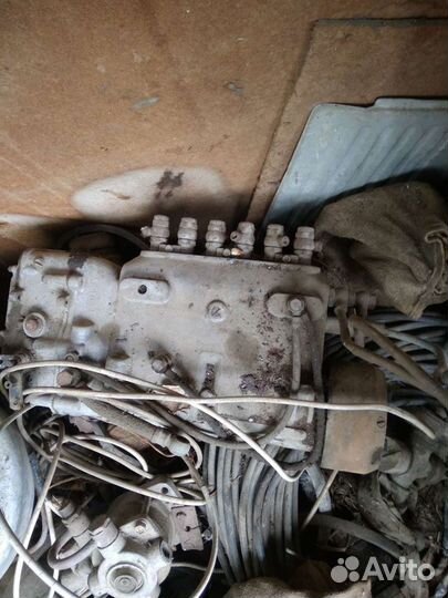 Тнвд маз ямз 236