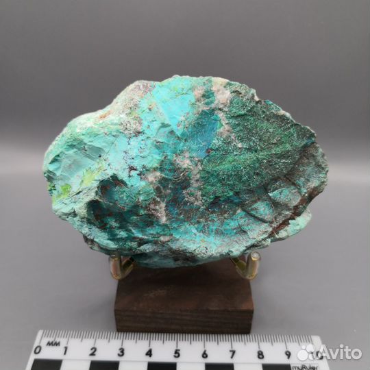 Хризаколла, США