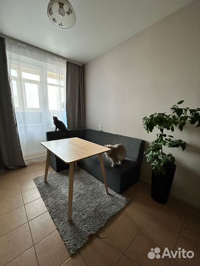 Стол из дуба