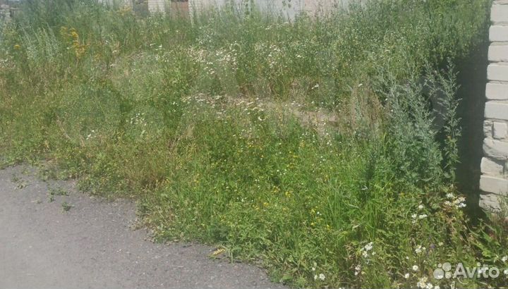 Покос травы, газонов триммером, газонокосилкой