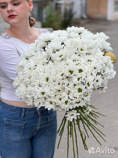 Кустовая хризантема, белая