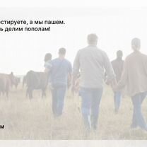 Агентство для колхозников в городе Северодонецк, Северодонецк