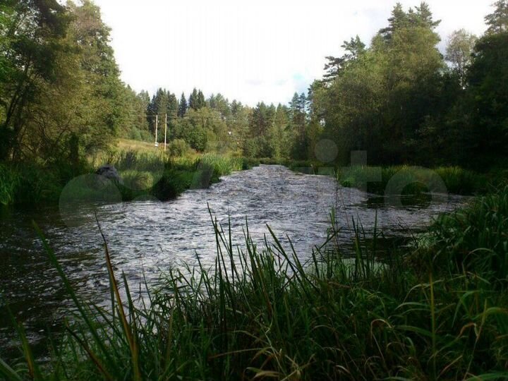 Участок 20 сот. (СНТ, ДНП)