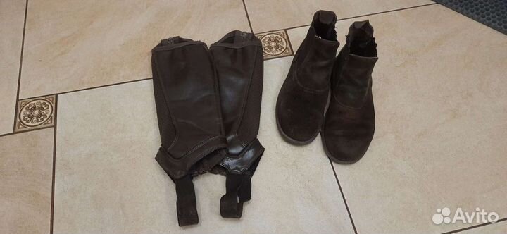 Комплект одежды для всадника верховая езда