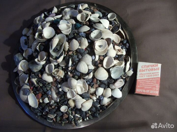 Продаю ракушки для аквариума