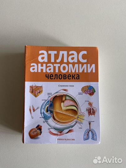 Книга по биологии Богданова Солодова