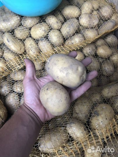 Картофель.Картошка доставка