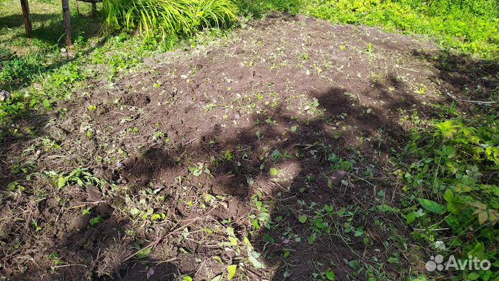 Аренда культиватора, мотоблока