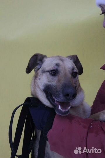 Забери меня домой