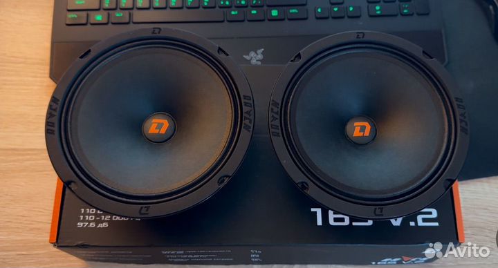 Dl audio raven 165 v.2