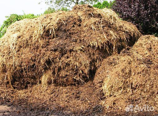 Доставка Навоз и перегной