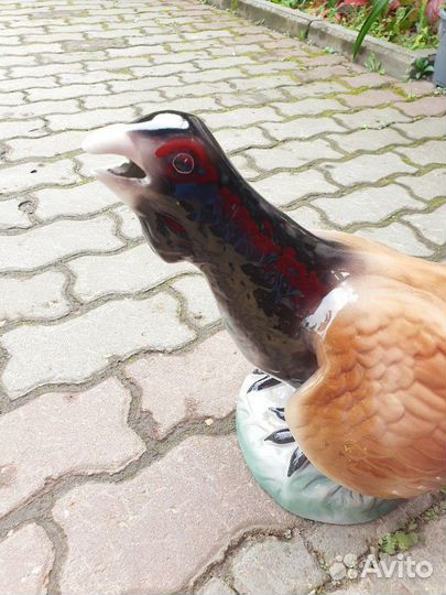 Большой глухарь