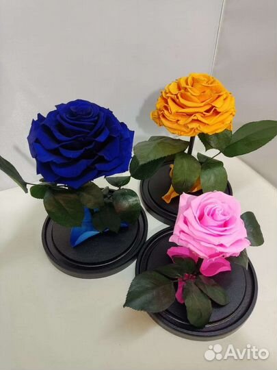 Роза в колбе