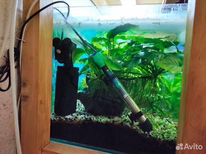 Аквариумы 100л и 30л со всем оборудованием и рыба
