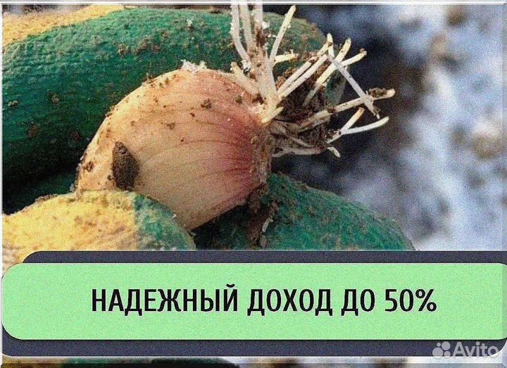 Ищу инвестора в готовый бизнес