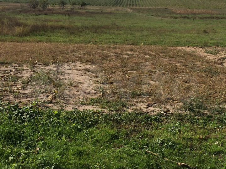 Участок 20 сот. (ИЖС)