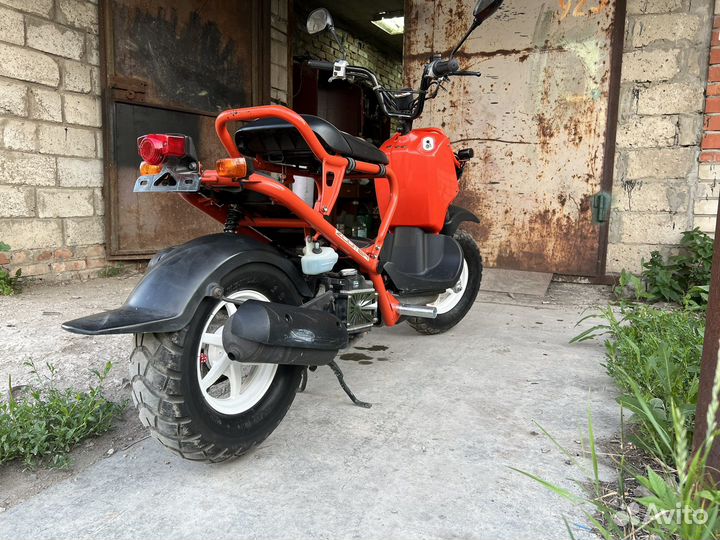 Honda zoomer