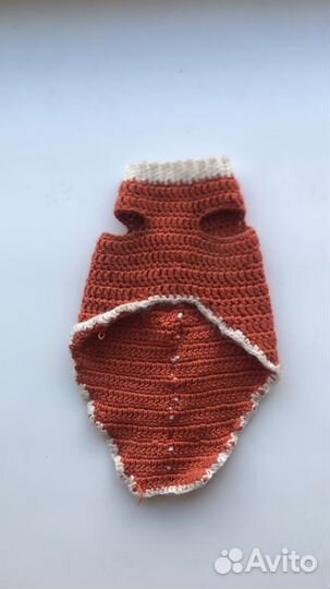 Одежда для кошек