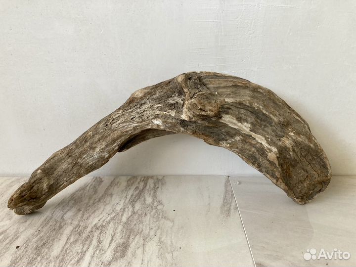 Коряги морские дрифтвуд поштучно