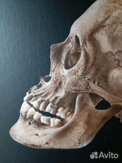 Картина череп