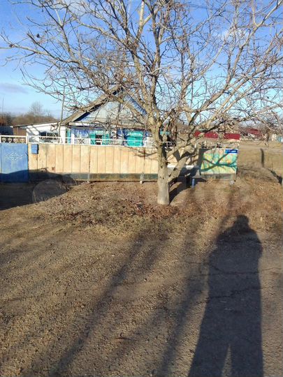 Дом 40 м² на участке 50 сот.